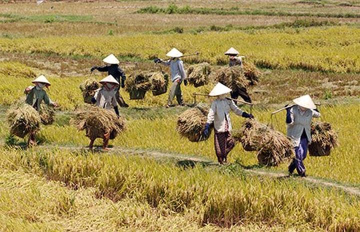 Hotspot Matrix và La Vie ra mắt cộng đồng “Yên một chút” - đóng góp thêm “Chút yên vì