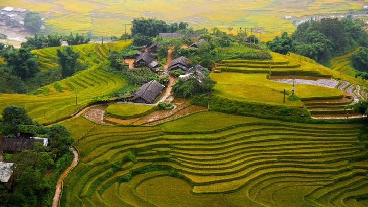 Tỏa Sáng Trên Mạng Xã Hội: Chuyên Gia Trang Điểm & Hotspot Matrix