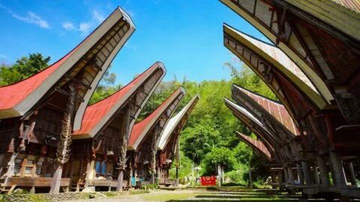 Từ 5 kiểu áo dễ